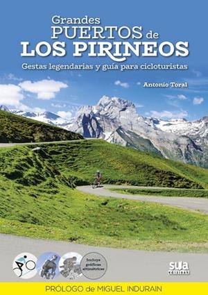 GRANDES PUERTOS DE LOS PIRINEOS | 9788482166422 | TORAL PEREZ, ANTONIO