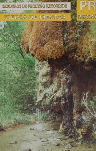 TIERRA DE BIESCAS | 9788487601910 | VV.AA.