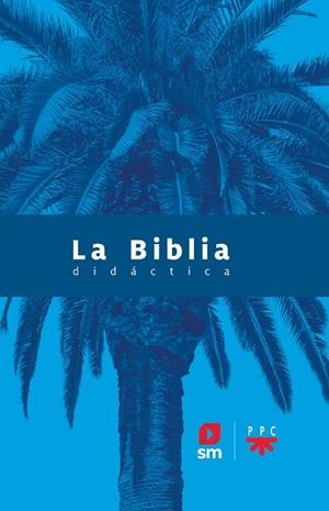 LA BIBLIA DIDÁCTICA - 2020 | 9788413183039 | AA.VV