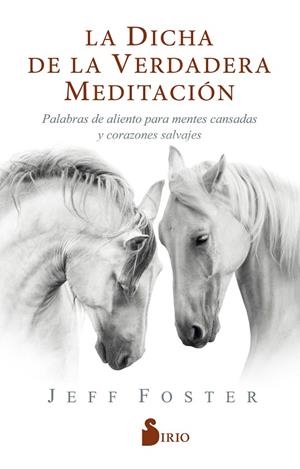LA DICHA DE LA VERDADERA MEDITACIÓN | 9788418000522 | FOSTER, JEFF