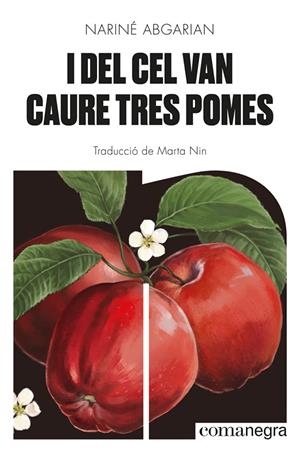 I DEL CEL VAN CAURE TRES POMES | 9788418857041 | ABGARIAN, NARINÉ