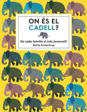 ON ÉS EL CADELL? | 9788494681561 | HAWORTH, KATIE