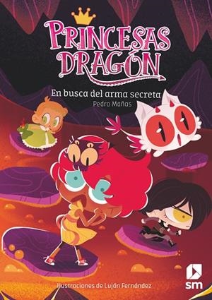 PRINCESAS DRAGÓN: EN BUSCA DEL ARMA SECRETA | 9788413922812 | MAÑAS ROMERO, PEDRO