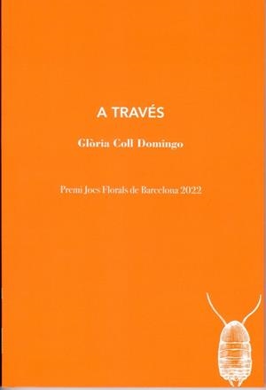A TRAVÉS | 9788412457599 | COLL DOMINGO, GLÒRIA