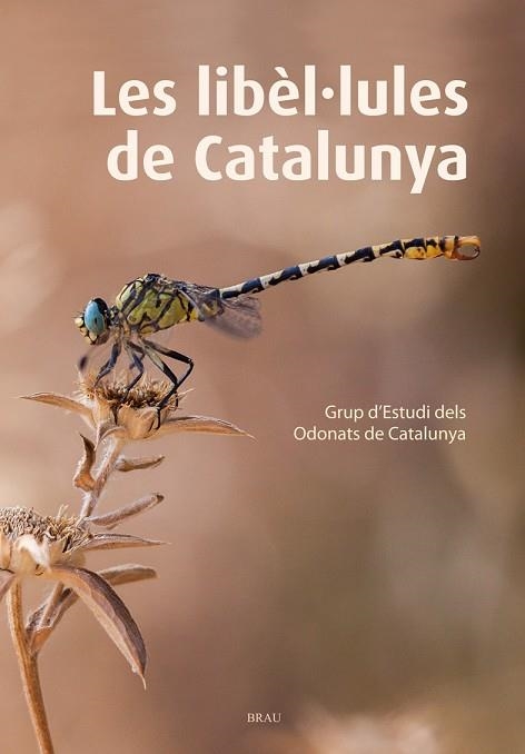 LES LIBÈL·LULES DE CATALUNYA | 9788415885467 | GRUP D´ESTUDIS DELS ODONATS DE