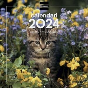 CALENDARI 2024 GATS ENTRANYABLES | 8422952371960