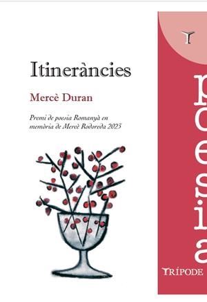 ITINERÀNCIES | 9788412728941 | MERCÉ DURAN