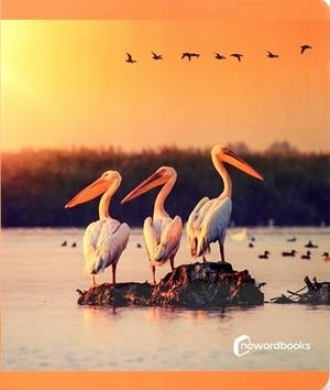 AUS - GRAN FORMAT | 9788412804331 | NOWORDBOOKS