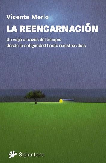 LA REENCARNACIÓN | 9788410179493 | MERLO, VICENTE