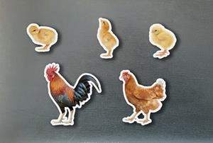 MAGNETICOS FAMILIAS GALLINAS | 0760412890964