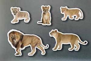 MAGNETICOS FAMILIAS LEONES | 0760412890971