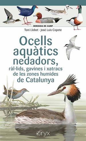 OCELLS AQUÀTICS NEDADORS, RÀL·LIDS, GAVINES I XATRACS DE LES ZONES HUMIDES DE CA | 9788413564883 | COPETE, JOSÉ LUIS