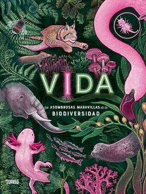VIDA | 9786075840338 | N.R. SMITH, JENNIFER