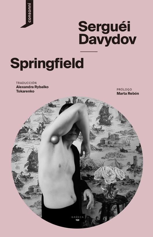 SPRINGFIELD | 9788419490469 | DAVYDOV, SERGEY