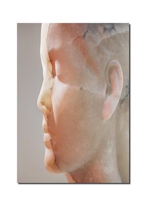 JAUME PLENSA: INNER MATTER / MATERIA INTERIOR | 9788410290204 | PLENSA, JAUME