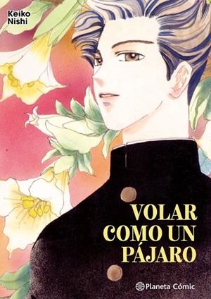 VOLAR COMO UN PÁJARO | 9788411619493 | NISHI, KEIKO