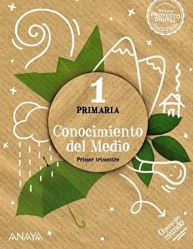 CONOCIMIENTO DEL MEDIO 1. | 9788414317761 | BUSTOS JIMÉNEZ, ANTONIO / CASCANTE MIGUÉLEZ, SARA / DORADO NAVARRO, RAQUEL / GENTIL ADARVE, MANUEL /