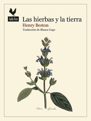 LAS HIERBAS Y LA TIERRA | 9788419168740 | BESTON, HENRY
