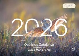 OCELLS DE CATALUNYA 2026 (CALENDARI) | 9781901175172 | MAPZINE