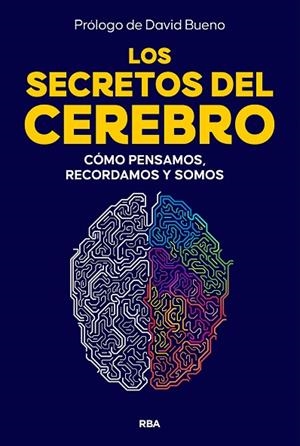 LOS SECRETOS DEL CEREBRO | 9788410981249 | BUENO, DAVID