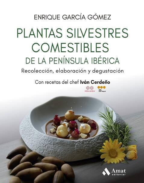 PLANTAS SILVESTRES COMESTIBLES DE LA PENÍNSULA IBÉRICA | 9788410451384 | GARCÍA GÓMEZ, ENRIQUE