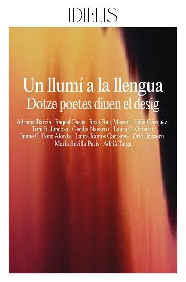 UN LLUMÍ A LA LLENGUA | 9791399079012 | BÀRCIA, ADRIANA / CASAS, RAQUEL / FONT MASSOT, ROSA / GÀZQUEZ, LÍDIA / R. JUNCOSA, TONI / NAVARRO, C