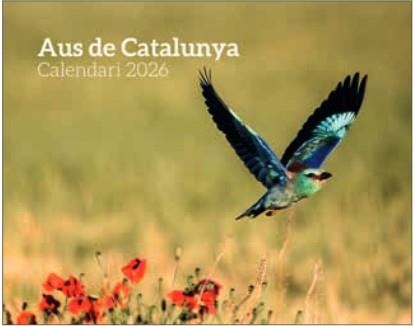 CALENDARI 2026 AUS DE CATALUNYA COLOR | 8415001049347