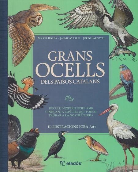 GRANS OCELLS DELS PAÏSOS CATALANS | 9791387658236 | MARTI BOADA