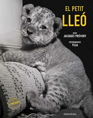 EL PETIT LLEÓ | 9788410387102 | JACQUES PRÉVERT