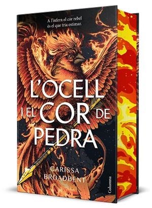 L'OCELL I EL COR DE PEDRA | 9788466434430 | BROADBENT, CARISSA