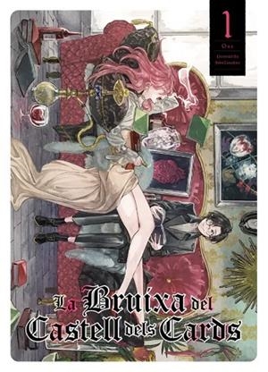 LA BRUIXA DEL CASTELL DELS CARDS | 9788412998993 | TARACHINE, JOHN