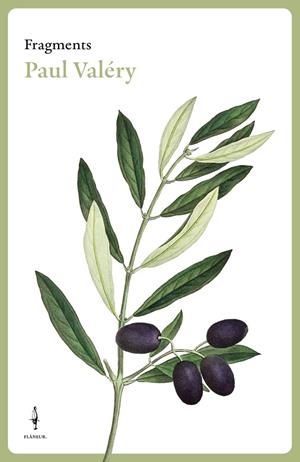 FRAGMENTS PAUL VALÉRY | 9788409769025 | VALÉRY, PAUL