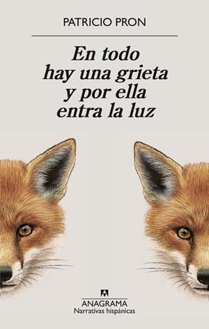 EN TODO HAY UNA GRIETA Y POR ELLA ENTRA LA LUZ | 9788433949158 | PRON, PATRICIO