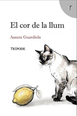 EL COR DE LA LLUM | 9791399090376 | GUARDIOLA, ASSUM