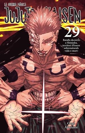 JUJUTSU KAISEN 29 CATALA | 9788467976274 | AKUTAMI, GEGE