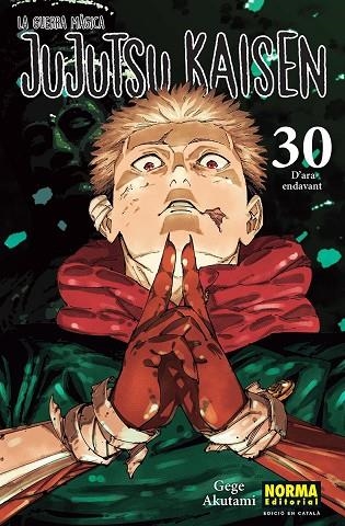 JUJUTSU KAISEN 30 CATALA | 9788467976281 | AKUTAMI, GEGE