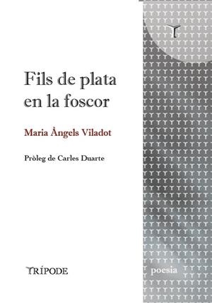 FILS DE PLATA EN LA FOSCOR | 9791399090352 | ÀNGELS VILADOT, MARIA