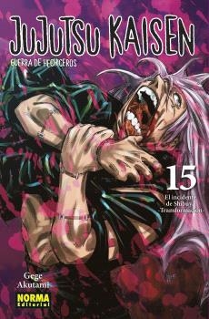 JUJUTSU KAISEN 15 (NUEVO PVP) | 9788467973792 | AKUTAMI, GEGE