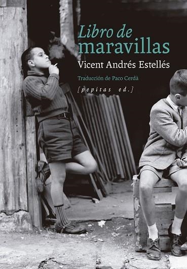 LIBRO DE MARAVILLAS | 9788410476509 | ANDRES ESTELLES, VICENT