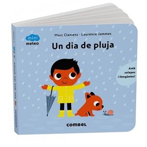 UN DIA DE PLUJA | 9788411583206