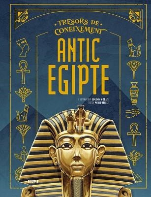 TRESORS CONEIXEMENTS. ANTIC EGIPTE | 9791387881221 | NOBATI, EUGENIA / STEELE, PHILIP
