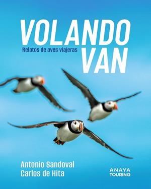 VOLANDO VAN | 9788491589303 | SANDOVAL REY, ANTONIO JUAN / HITA MORENO, CARLOS DE
