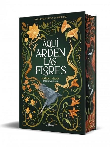 AQUÍ ARDEN LAS FLORES | 9791387741662 | AIGUADVALENCIA