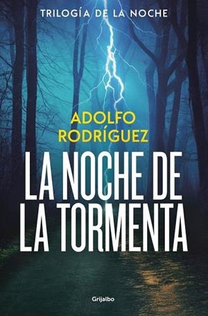 LA NOCHE DE LA TORMENTA (TRILOGÍA DE LA NOCHE 3) | 9788425374227 | RODRÍGUEZ, ADOLFO