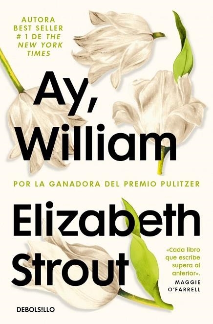 AY, WILLIAM | 9788466364133 | STROUT, ELIZABETH