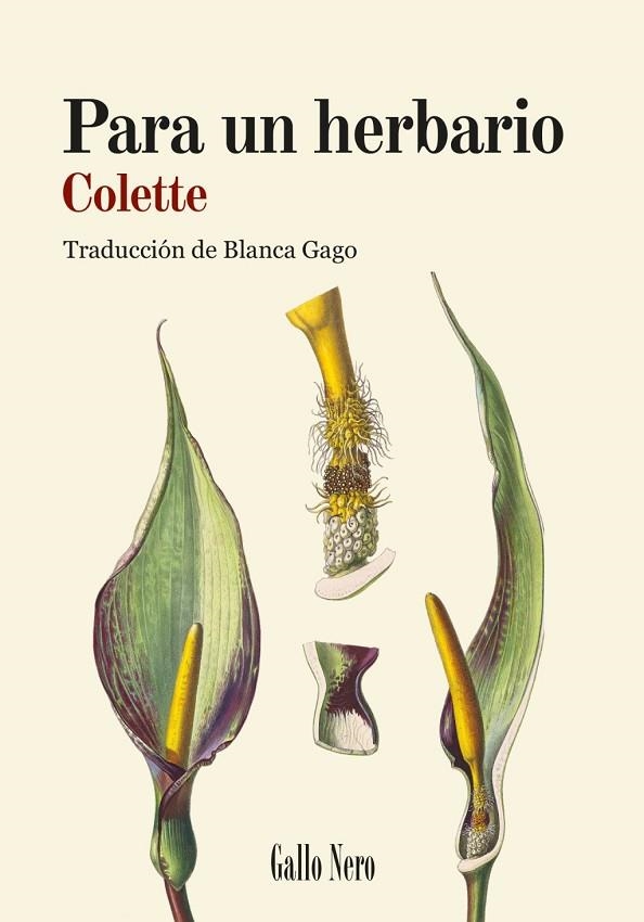 PARA UN HERBARIO | 9788419168887 | COLETTE, COLETTE