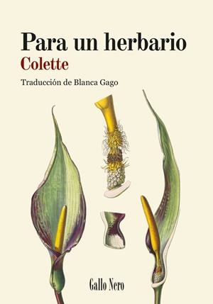 PARA UN HERBARIO | 9788419168887 | COLETTE, COLETTE