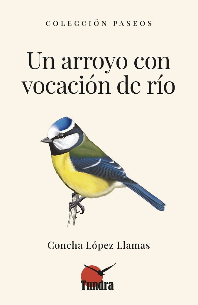 UN ARROYO CON VOCACION A RIO | 9791387759278 | AA.VV