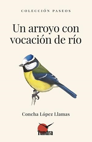 UN ARROYO CON VOCACION A RIO | 9791387759278 | AA.VV