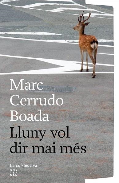 LLUNY VOL DIR MAI MÉS | 9791387800260 | CERRUDO BOADA, MARC